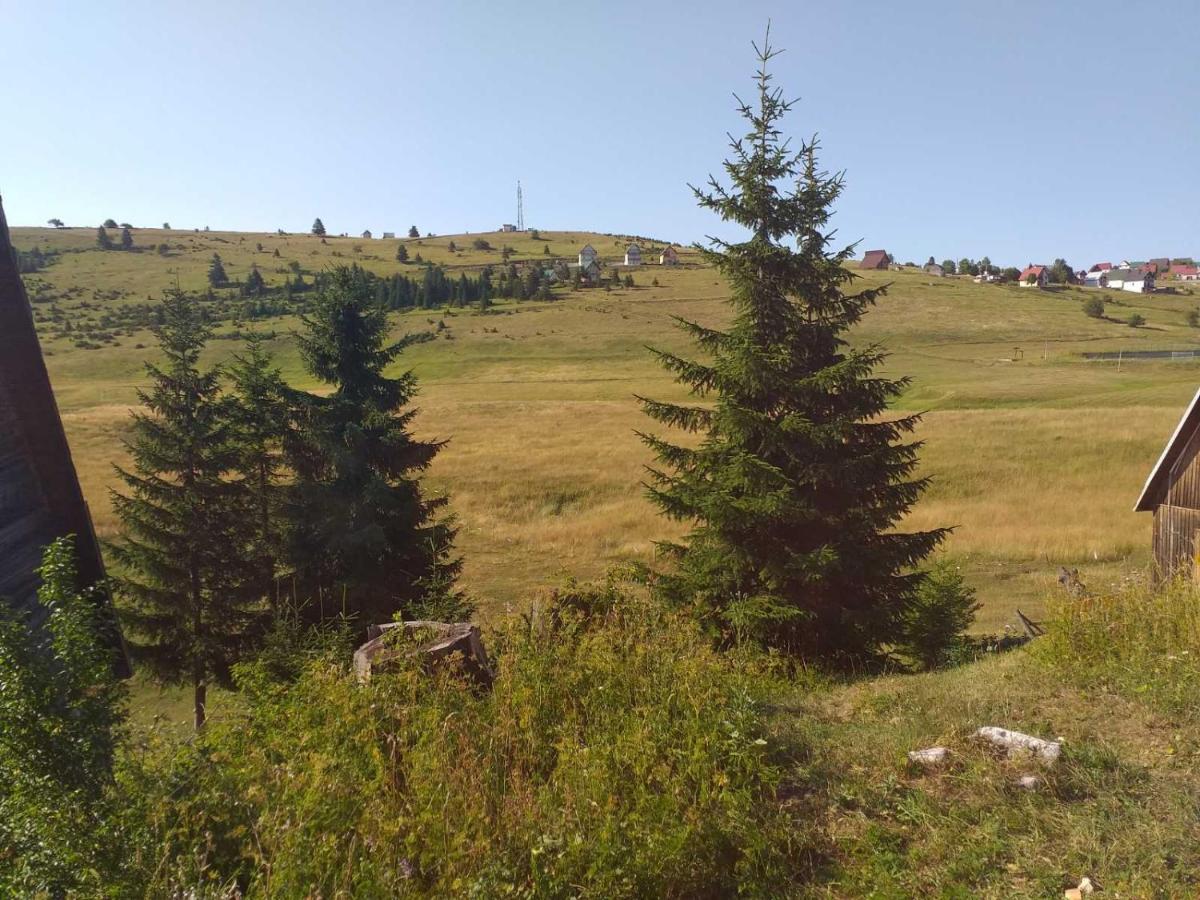 Durmitor Apartamento Žabljak Exterior foto