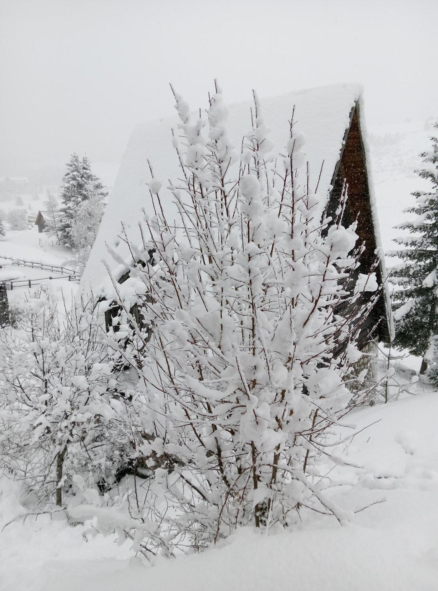 Durmitor Apartamento Žabljak Exterior foto