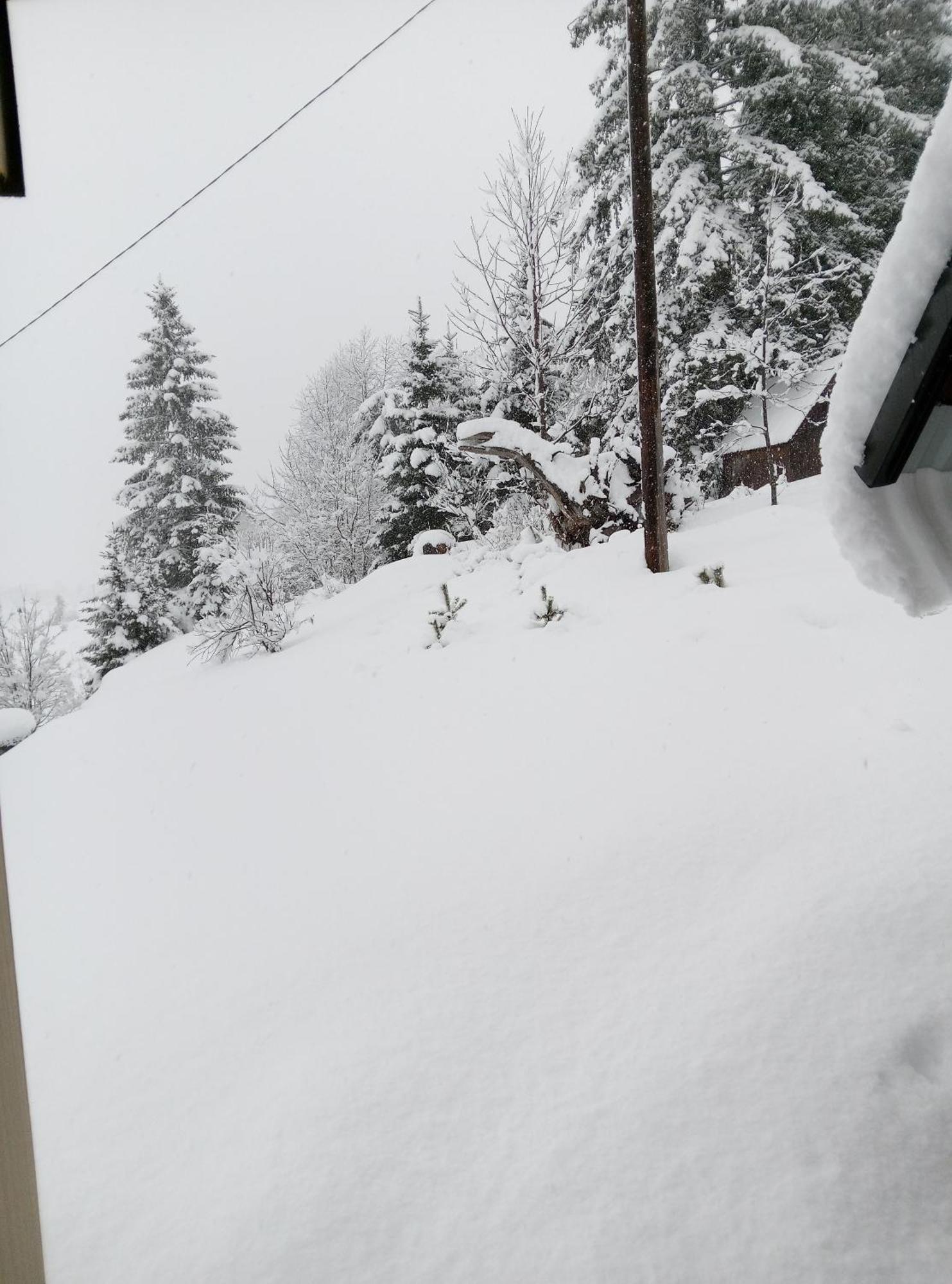 Durmitor Apartamento Žabljak Exterior foto