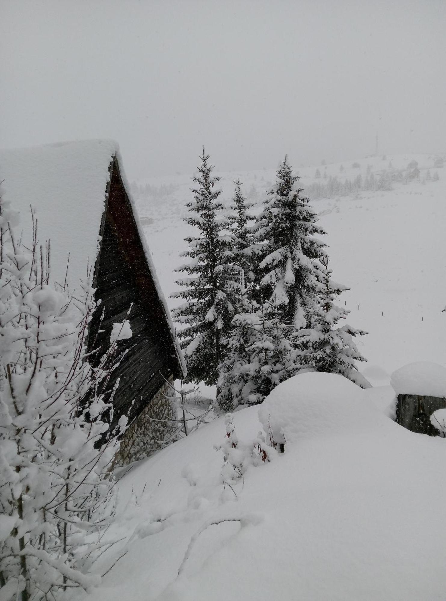 Durmitor Apartamento Žabljak Exterior foto