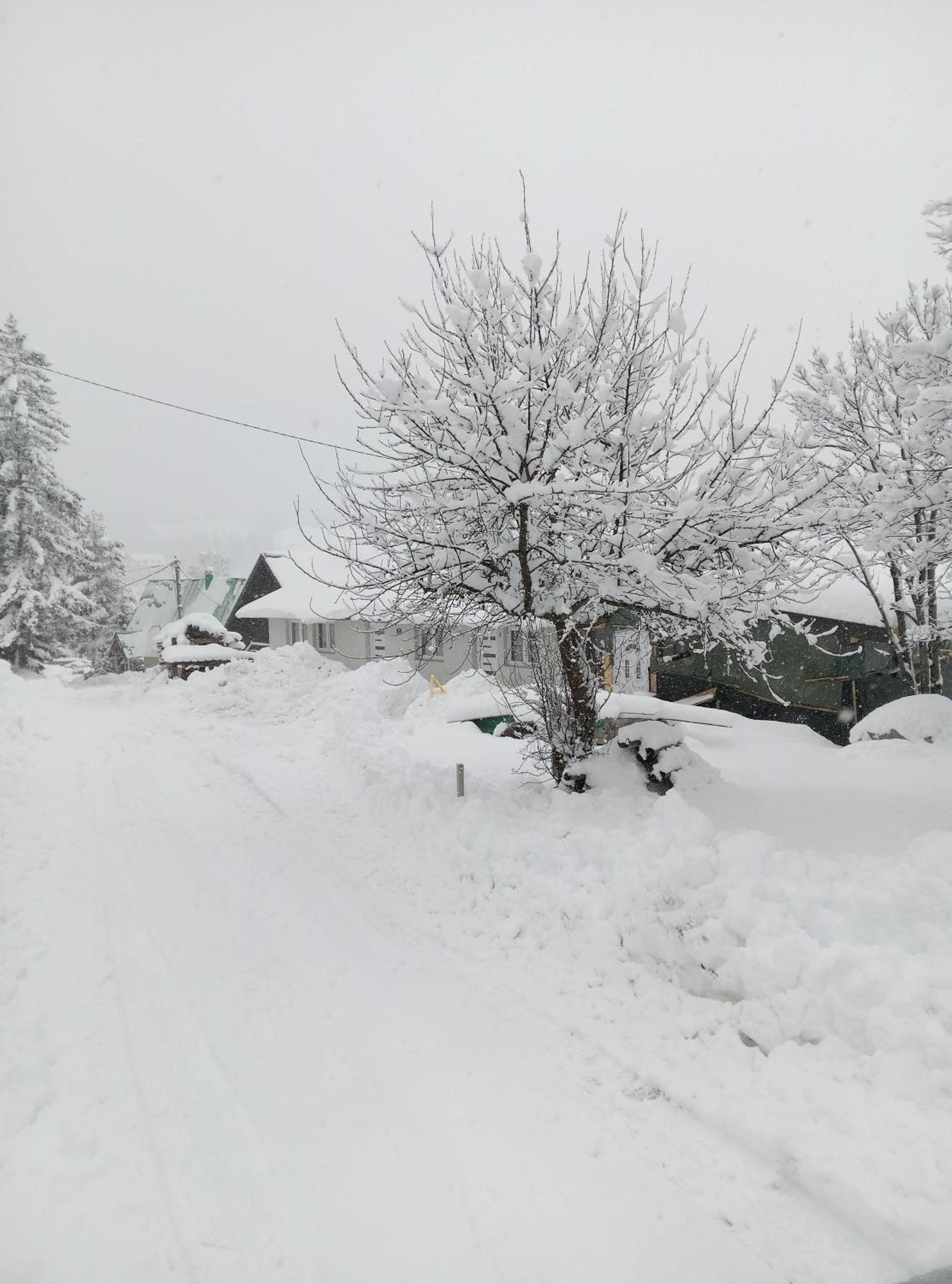 Durmitor Apartamento Žabljak Exterior foto