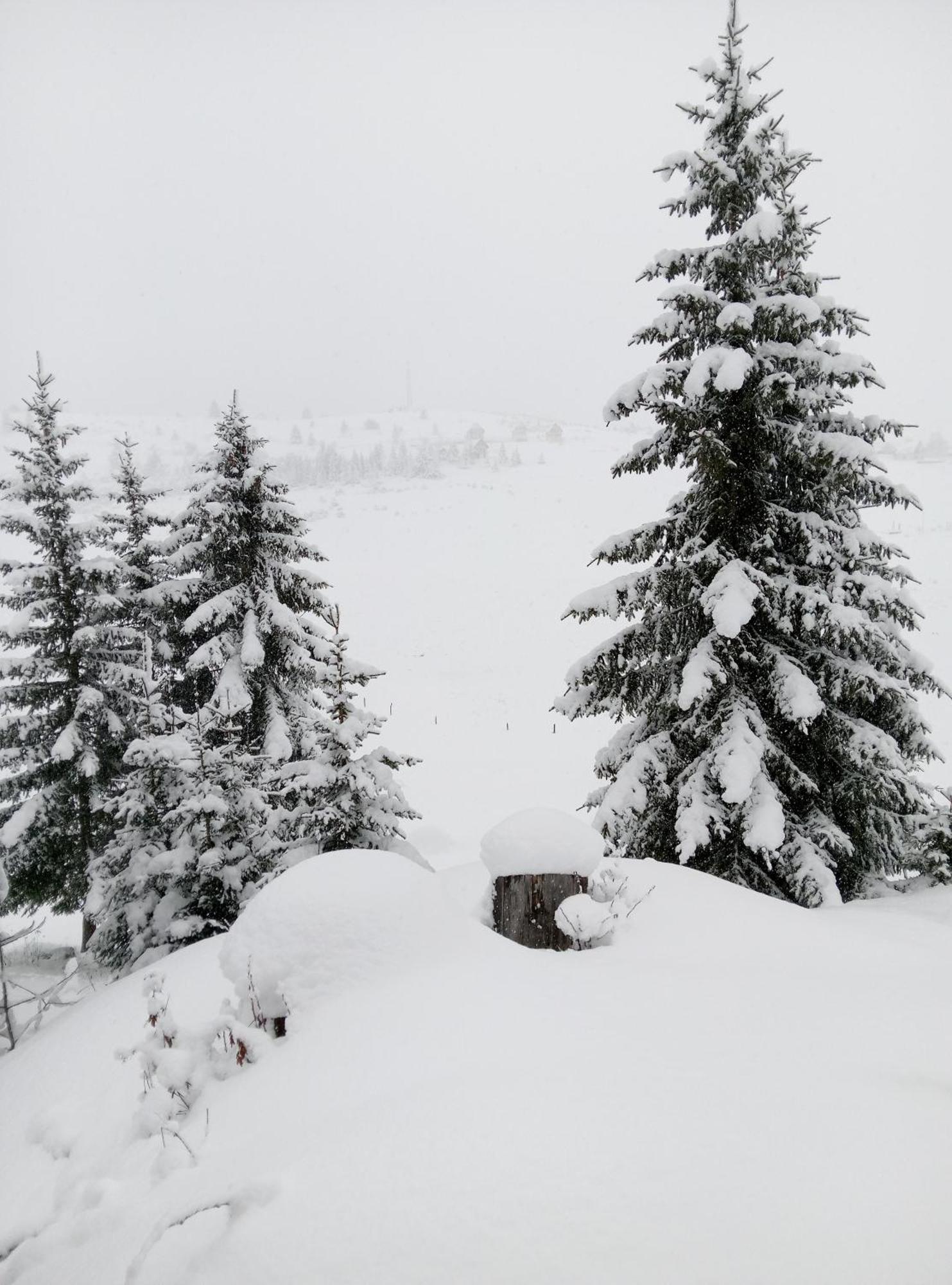 Durmitor Apartamento Žabljak Exterior foto