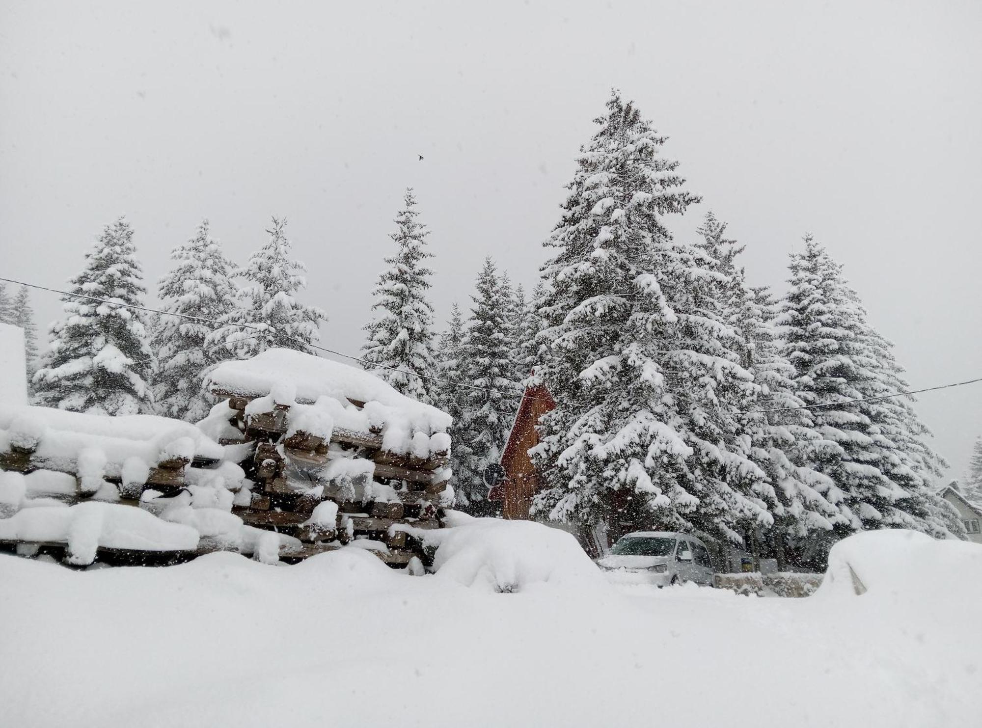 Durmitor Apartamento Žabljak Exterior foto