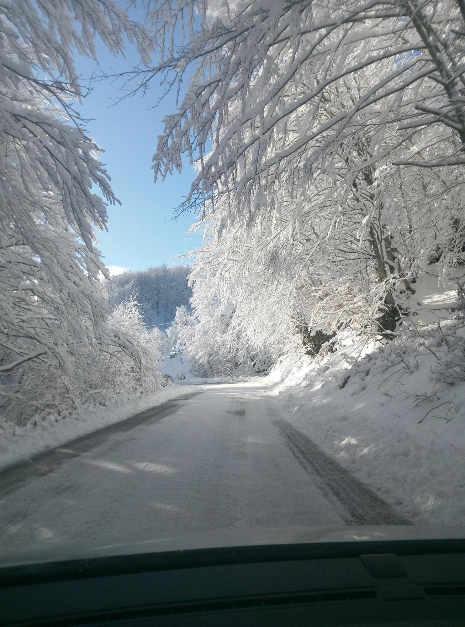 Durmitor Apartamento Žabljak Exterior foto