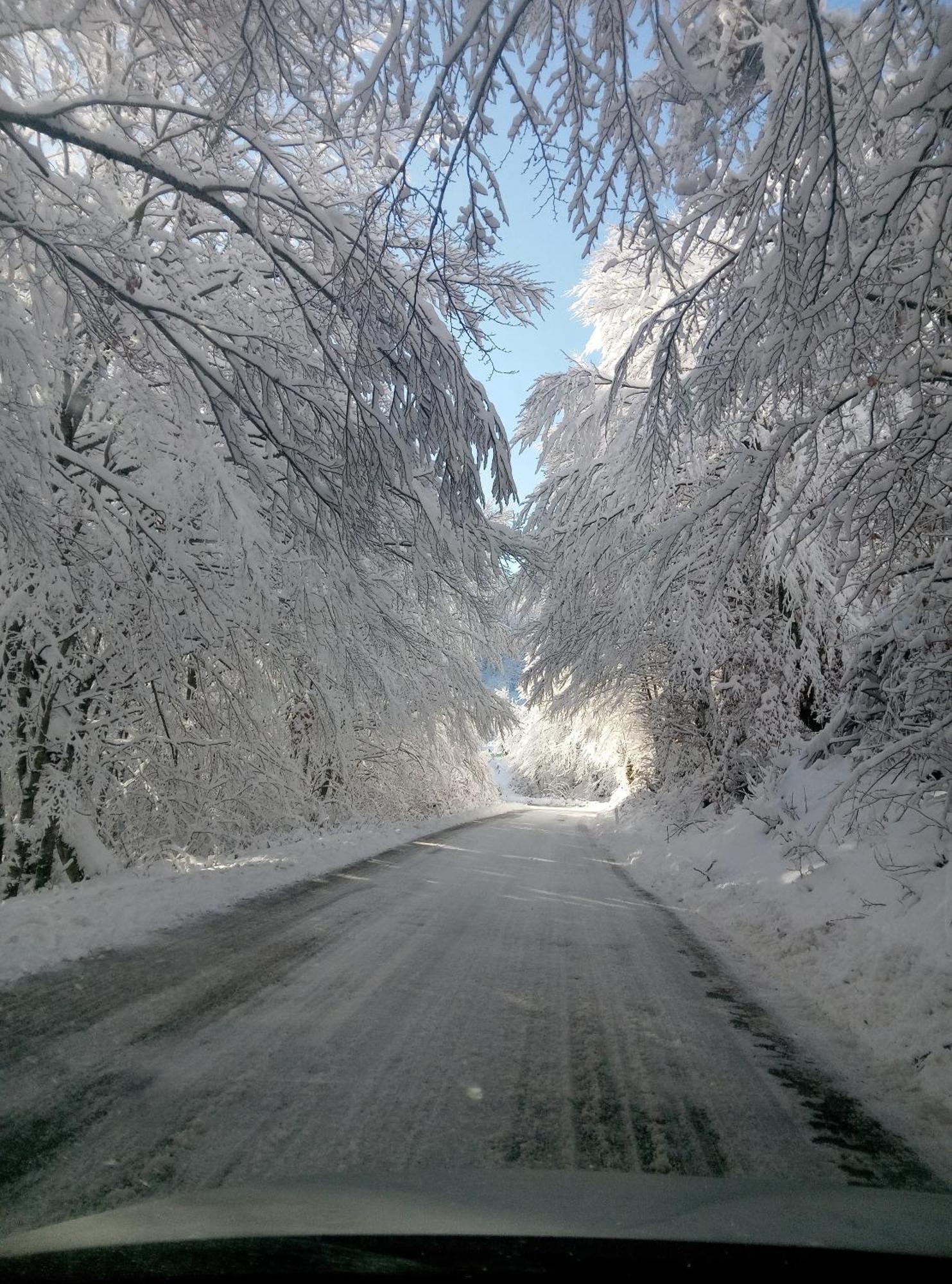 Durmitor Apartamento Žabljak Exterior foto